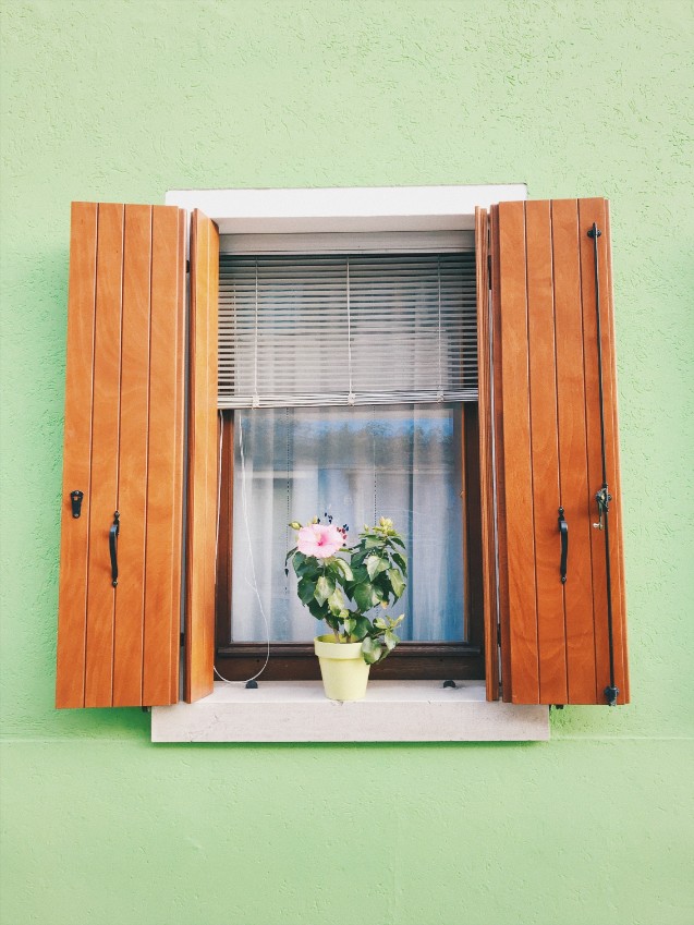 exterior bright green wood shutters