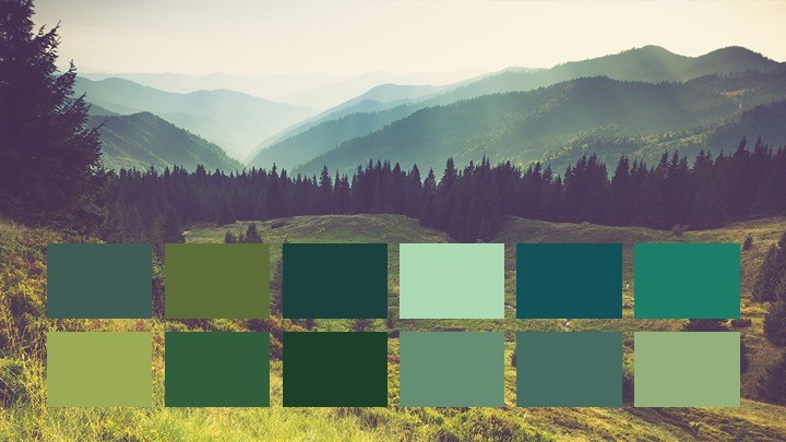 paint colors popular paintzen shades discover