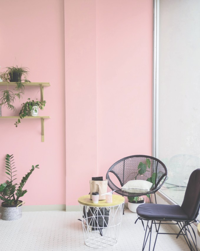These 11 Rooms Are Totally In The Pink Paintzen