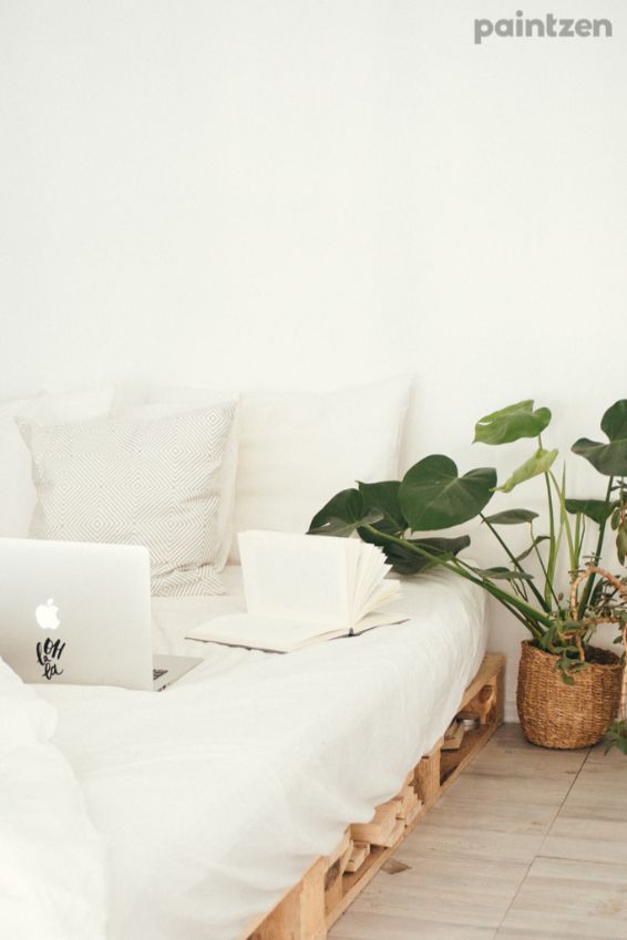 minimalist white bedroom with plant