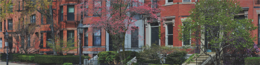 boston local painting service