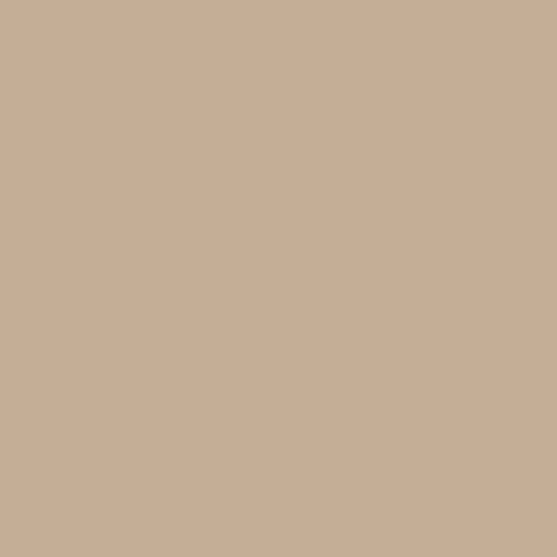 ppg kangaroo hygge paint color