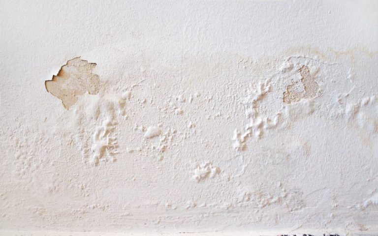 paint bubbling and peeling