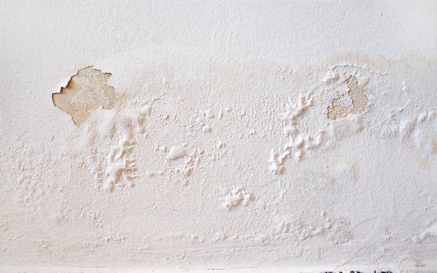 How To Fix Paint Bubbling Paintzen, Bathroom Ceiling Paint Bubbling