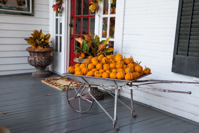 pumpkins and fall decor