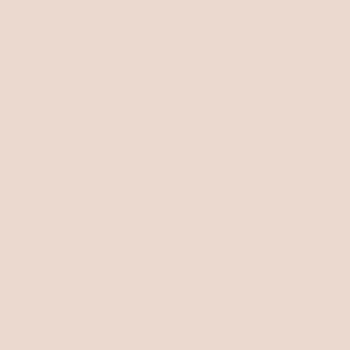 ppg winter peach paint swatch